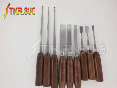 Capener Osteotome Chisel Periosteal Elevator Bone Curette Orthopedic  Set 9 Pcs