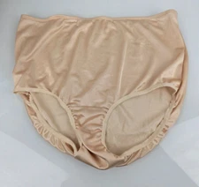 VTG Sheer Nylon Panties Granny Sissy Briefs Teri Lingerie RN 53600