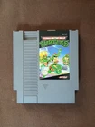 Teenage Mutant Ninja Turtles (Nintendo NES, 1989)