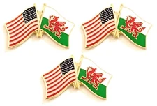 Pack of 3 International Flag & US Crossed Double Flag Lapel Pins