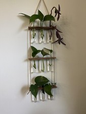 Wall Hanging Propagation Station with Wooden Stand 9 Glass Test Tube Vases