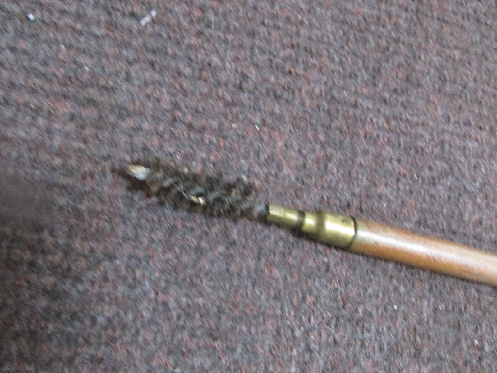 Picture 3 of 4
