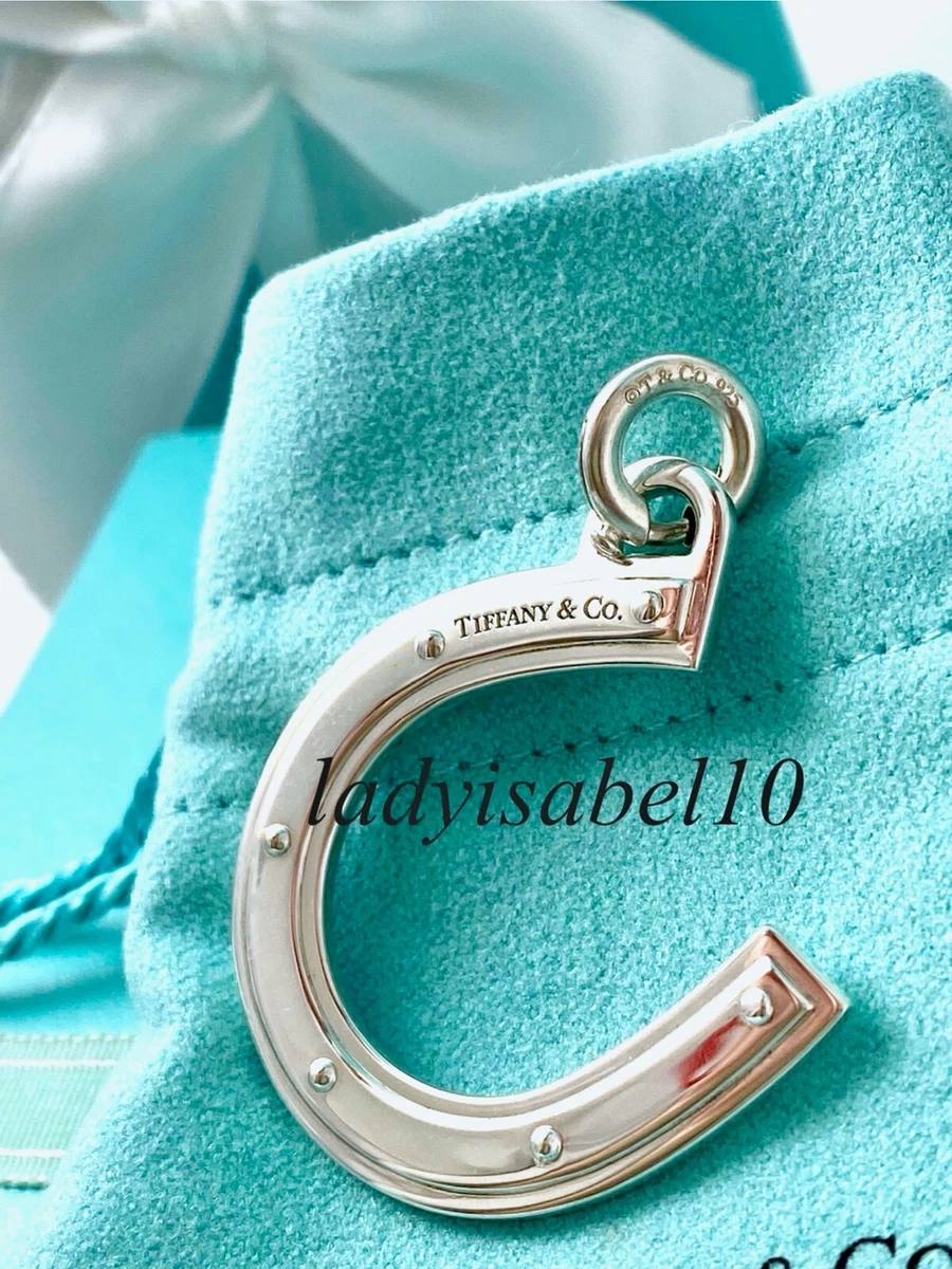 Tiffany & Co. Horseshoe Fine Necklaces & Pendants without Stone
