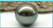Huge 12mm natural south sea genuine black gray blue round loose pearl undrilled