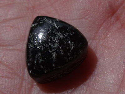 6.60 Ct. Mexican Leopard Opal Cabochon | eBay