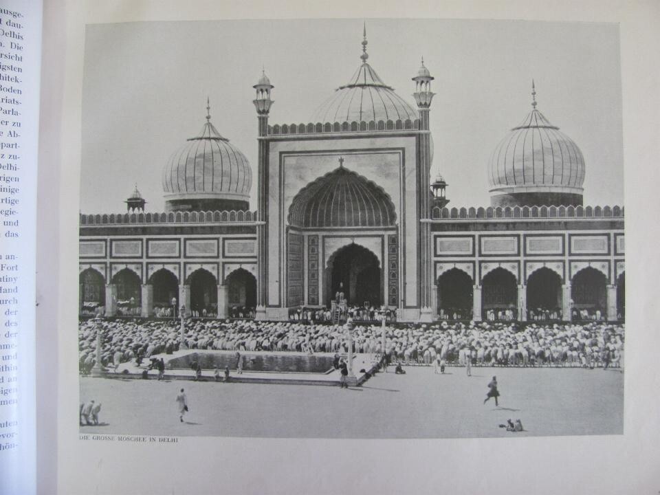 Picture 3 of 13