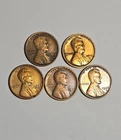 1913-S 1915-S 1922-D 1924-D 1926-S Lincoln Wheat Penny Cents VG-XF Cleaned