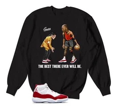 Sweaters To Match Retro 11 Cherry AJ12 Sneakers - The Best Sweatshirt