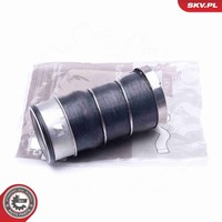 Ladeluftschlauch Esen Skv 43SKV085 FüR Bmw 3Er Touring E91 E92 E90 E93 316 335