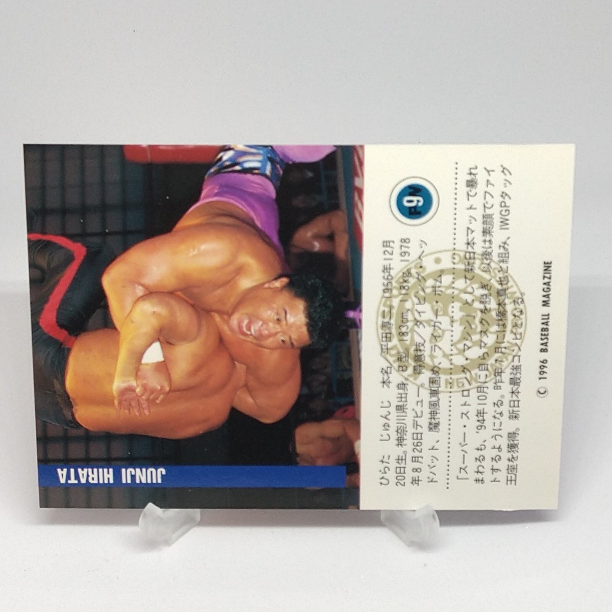 プロレスラー6体セット プロレスラー6体セット