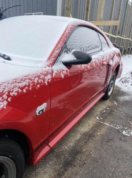 Filtro de aire 8 cilindros GT compatible con 02-04 Mustang 4186125 Foto 4 de 4