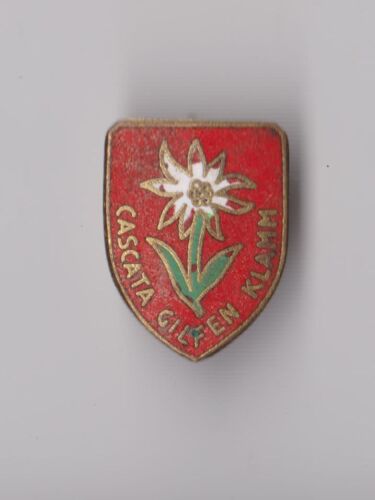Vintage enamel ITALY ITALIA pin badge brooches Milano Roma San Remo Venezia - Picture 31 of 97