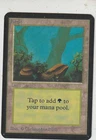 ALPHA FOREST MAGIC MTG ENGLISH 1993 EX-NM Card Lot x1
