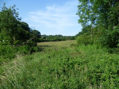 Foto A2 Blick über Scadbury Park Naturschutzgebiet Füße Cray Dies ist c2011