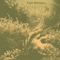 Rick Deitrick - Coyote Canyon - Vinyl Record Vl - E3447Z