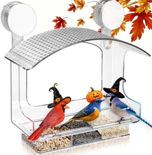 Window Bird Feeder with Strong Adhesive Suction Cups, Clear Bird Feeders for Win