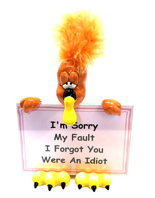 Novelty Desk Sign W/Silly Bird, ''I'm Sorry My Fault, I Forgot You Were An Idiot''