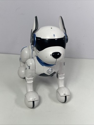 Top Race Rechargeable Robot Dog- Interactive Smart Robo Dog Only Tested