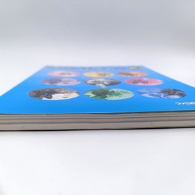 Sakura Wars 2: Thou Shalt Not Die Strategy Guide Book Heaven Vol Sega Saturn SS