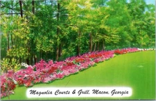 postcard Macon, Georgia - Azaleas at Magnolia Courts & Grill