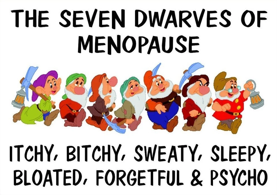 Funny Menopause Seven Dwarves Parody Fridge Magnet Gift Humour Novelty