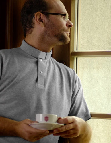 POLO VICARIO SACERDOTE CLERO / CLERICALE CAMISA PARA SACERDOTE - Immagine 4 di 4