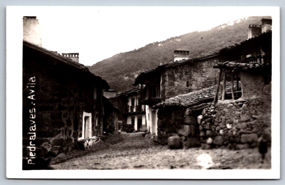 Foto 1 di 2