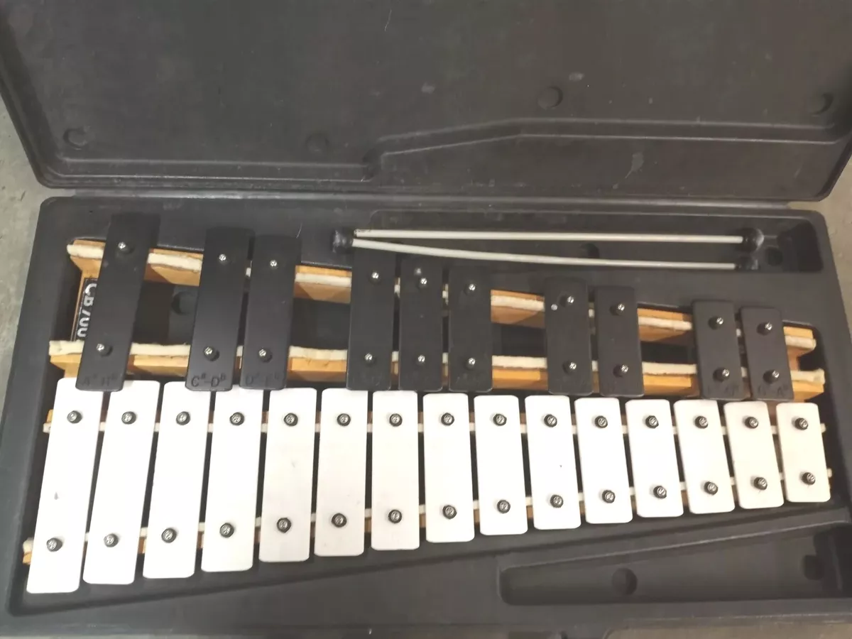 CB 700 xylophone with mallets and black hard case