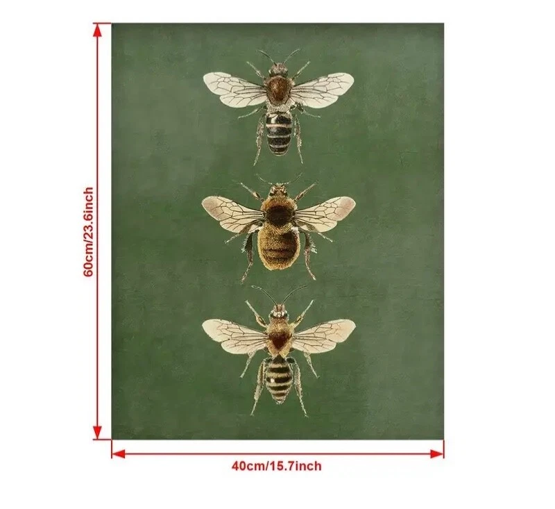 Vintage Bee Canvas Art Picture Print Framed Queen Worker Size Large 60cm x 40cm - Image 3 of 4