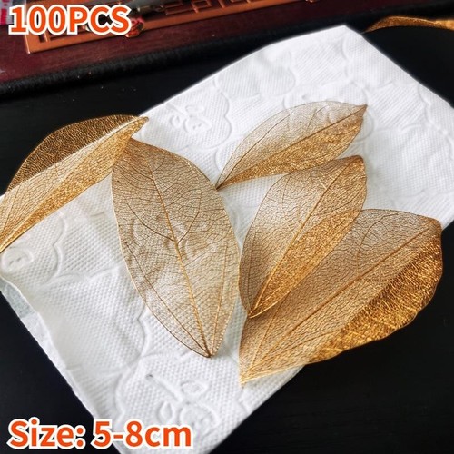 Natural Smilax China Leaf Skeleton Vein Craft DIY Scrapbooking Card Silver