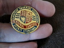 Intage Badge Btonze Swimming Standard
