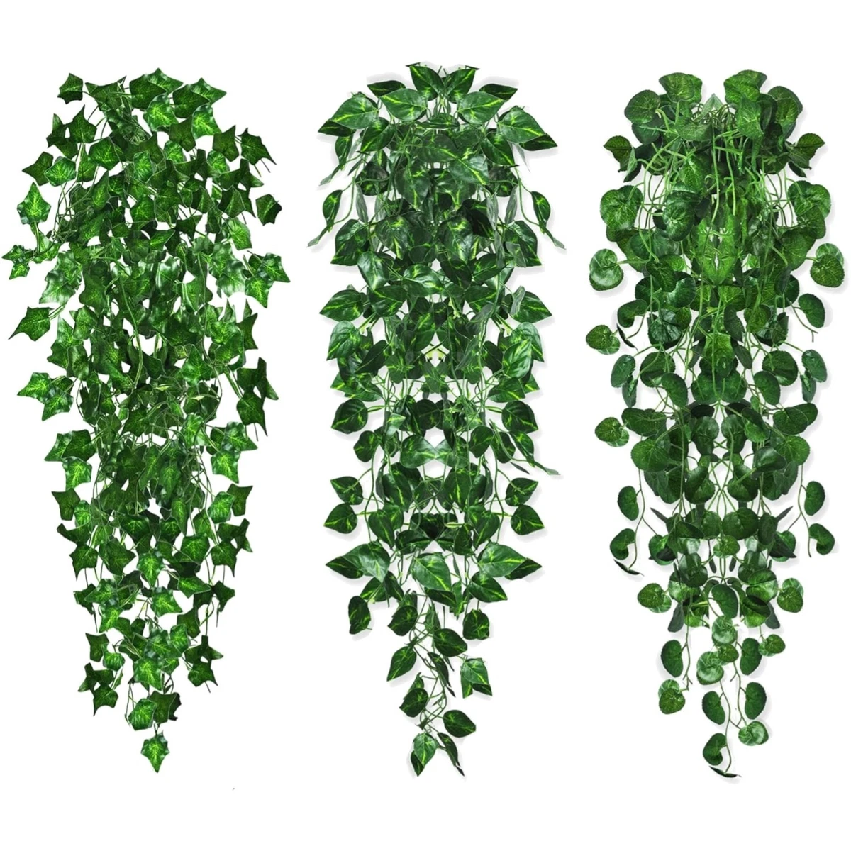 efeutute global green Global Green Pothos