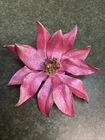 VINTAGE Enamel Pink Flower Brooch Rhinestones  Floral Pin Retro Costume Jewelry