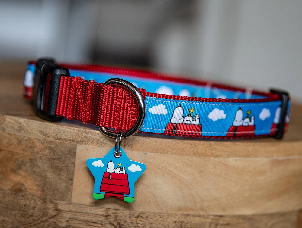 Snoopy & Woodstock Pet ID & Dog Collar