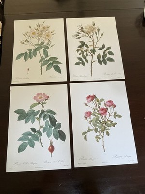 Pierre-Joseph Redouté Botanical Decorative Rose Reproductions Prints Set Of 4