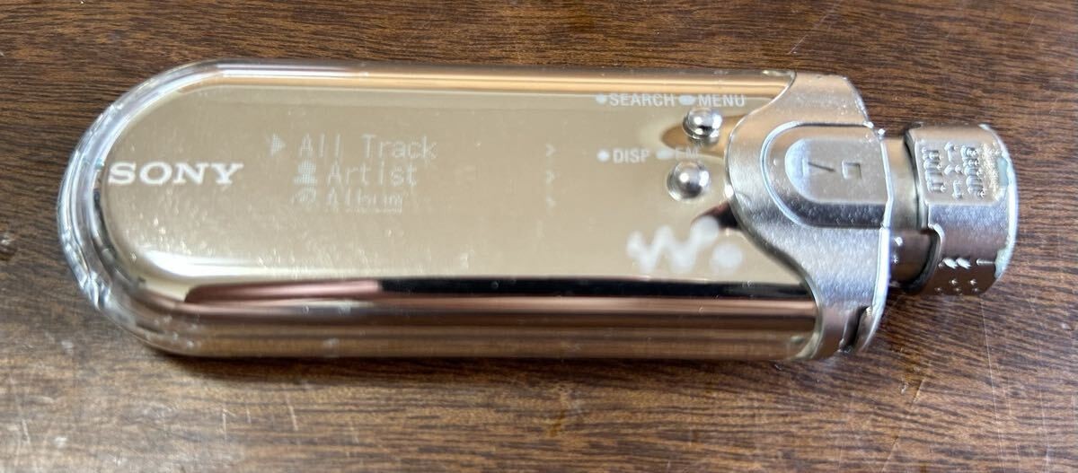 Sony NW-E507 Silver Network Walkman 1 GB Portable MP3 FM Tuner