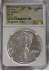 2024 P American Silver Eagle - Star Privy NGC MS70 Magnus Opus 1st Releases...