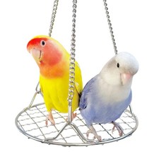 Bird Swing Perch Stainless Steel, Toy for Small Medium, Steel