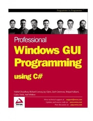 Professional Windows GUI Progr - VERY GOOD
