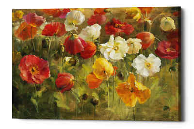 Epic Graffiti 'Poppy Field' by Danhui Nai, Giclee Canvas Wall Art