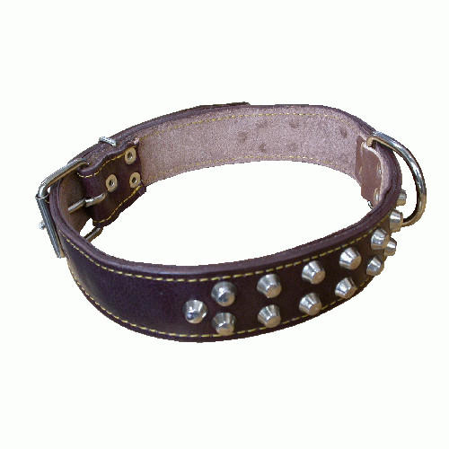 Collare Cane Pelle Borchie 40mm x 70cm - Extra Resistente per Grandi Taglie