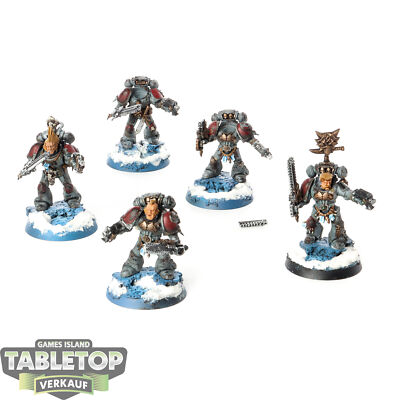 Space Wolves - 5 Grey Hunters - bemalt