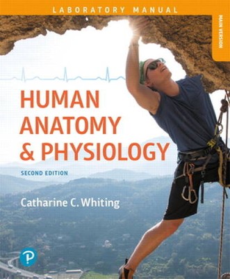 Human Anatomy & Physiology Laboratory Manual: Making Connections, Main Ve - GOOD