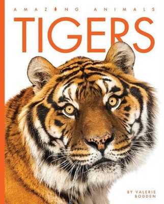 Tigers by Valerie Bodden (English) Paperback Book