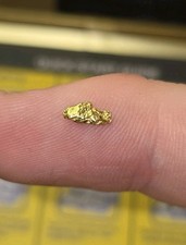 Natural Gold Nugget 0.15g Grams Genuine Gold Specimen 7255.40 per troy oz