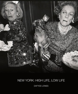 New York: High Life / Low Life, Dafydd Jones