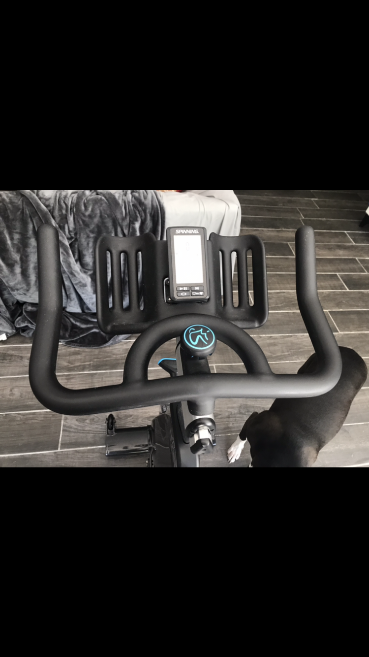 precor spinner ride belt drive