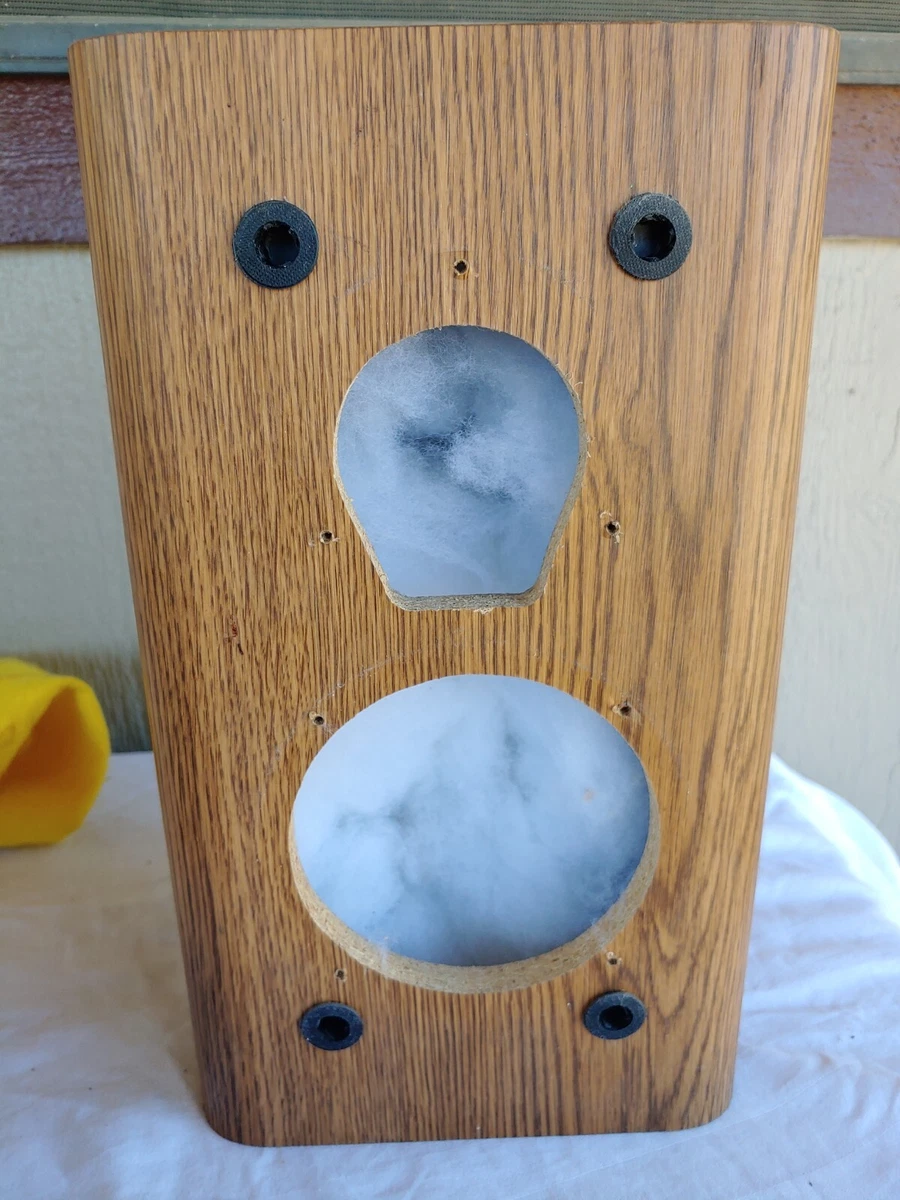 Best Speaker Insulation Matttroy