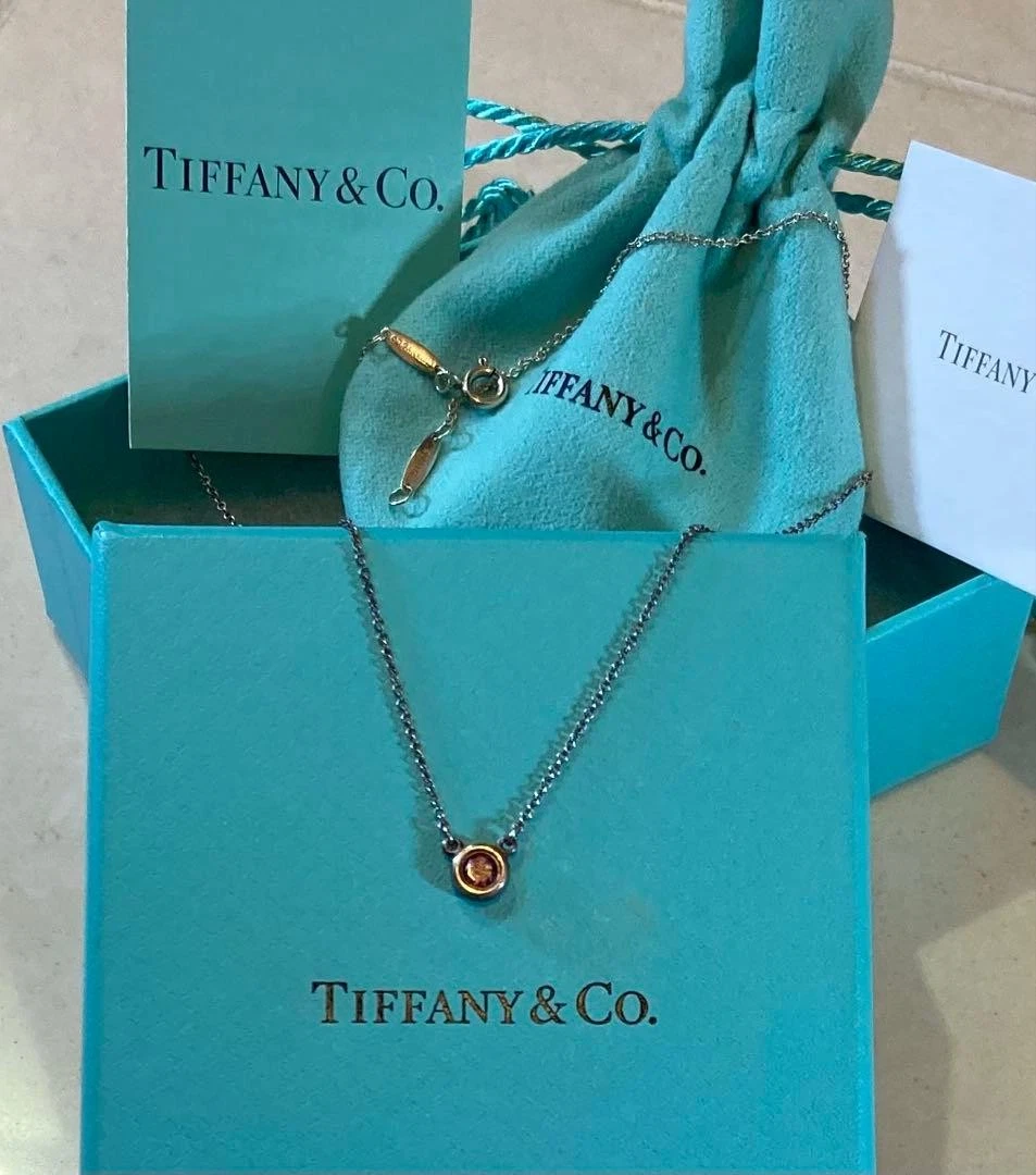 TIFFANY & Co. By The Yard Amethyst Necklace Silver SV925