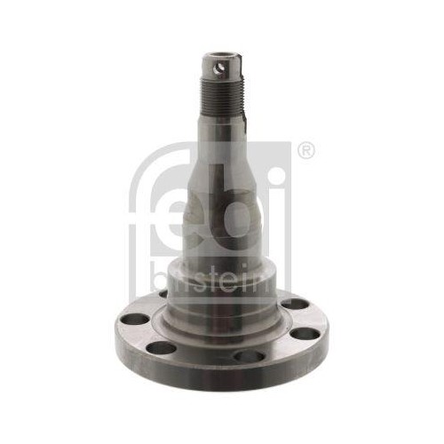 Fusée corps d'essieu arrière Febi Bilstein 08340 compatible Seat Toledo et VW Golf IV